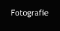 Fotografie